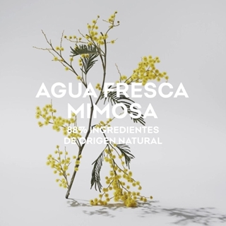 ADOLFO DOMINGUEZ  Agua Fresca Mimosa 120ml vapo. - Imagen 2