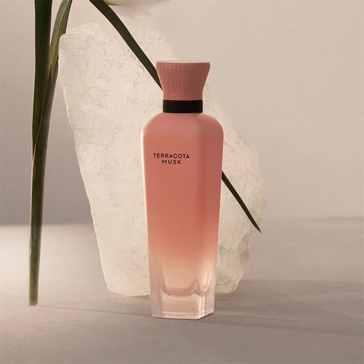 ADOLFO DOMINGUEZ Terracota Musk  120 VP - Imagen 4