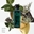 HERMÈS CONCENTRÉ D’ORANGE VERTE EAU DE TOILETTE - Imagen 2