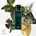 HERMÈS CONCENTRÉ D’ORANGE VERTE EAU DE TOILETTE - Imagen 2