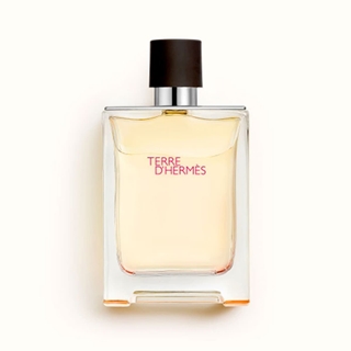 HERMÈS Terre D'hermès Eau de Toilette para hombre - Imagen 1