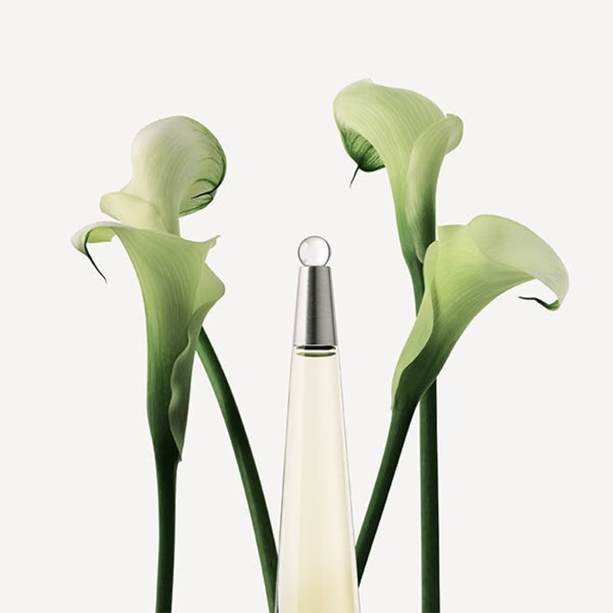 ISSEY MIYAKE L'eau D'issey Eau de Toilette para Mujer 100ml - Imagen 2