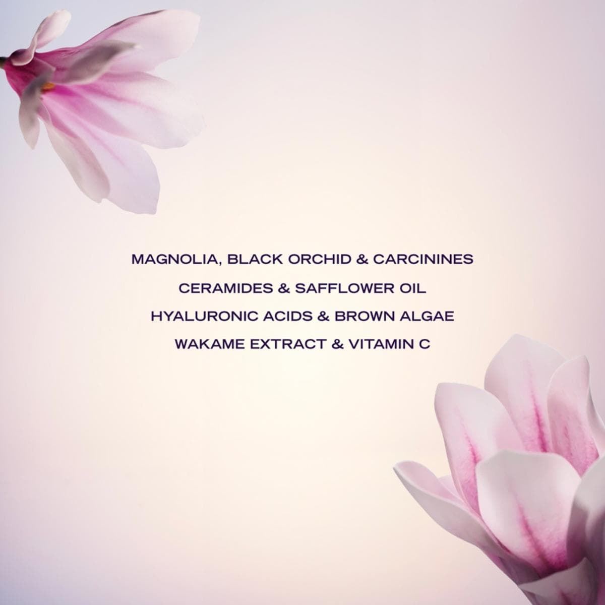 PAYOT Suprême Absolu Crème Pro-Âge Fortifiante 50ml - Imagen 3